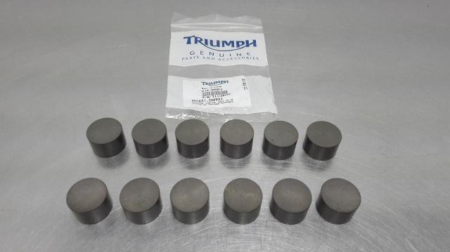 Set bicchierini std Daytona 675 dal 2009 al 2012